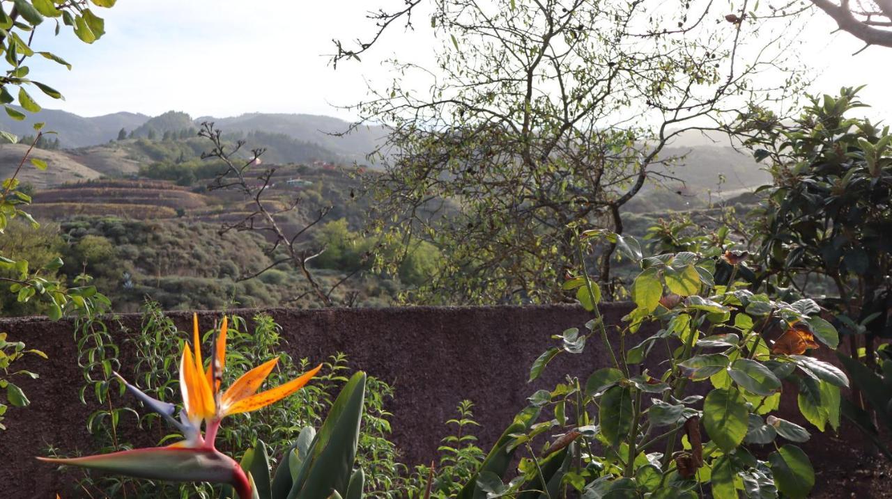 Casa Rural En San Mateo Las Palmas de Gran Canaria Eksteriør bilde